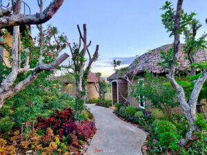 olympus-khaoyai - รูปภาพ โอลิมปัส เขาใหญ่ -f17
