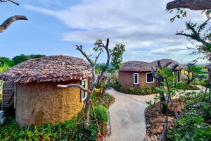 olympus-khaoyai - รูปภาพ โอลิมปัส เขาใหญ่ -f30